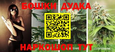 jwh Будённовск