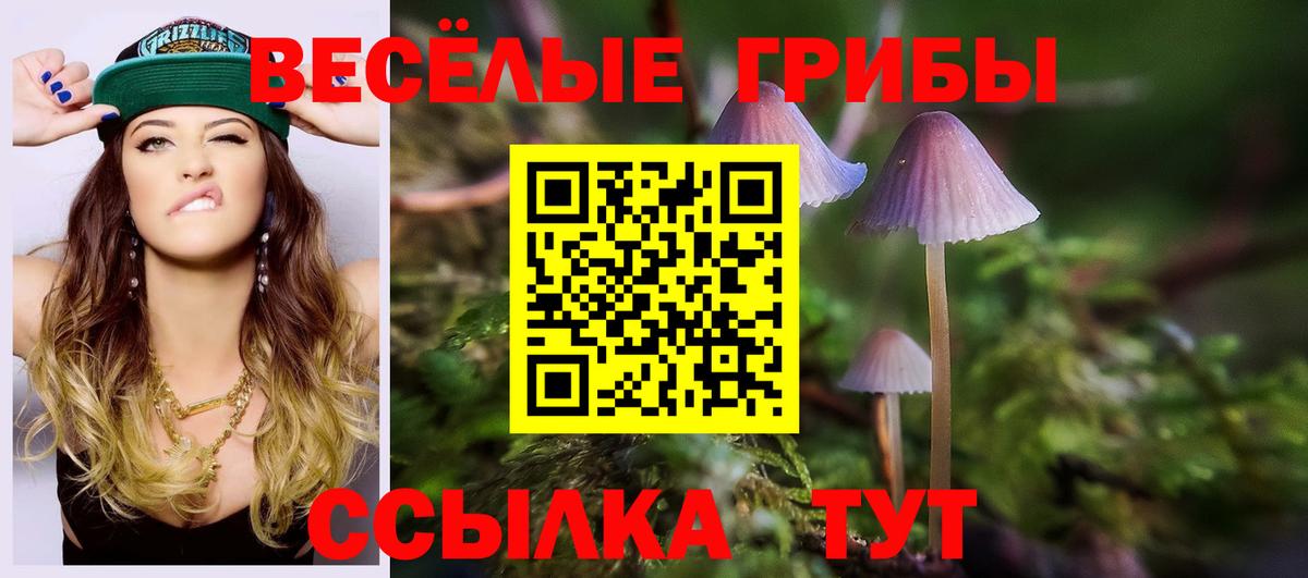 Галлюциногенные грибы Cubensis  Вход с VPN  Малгобек 